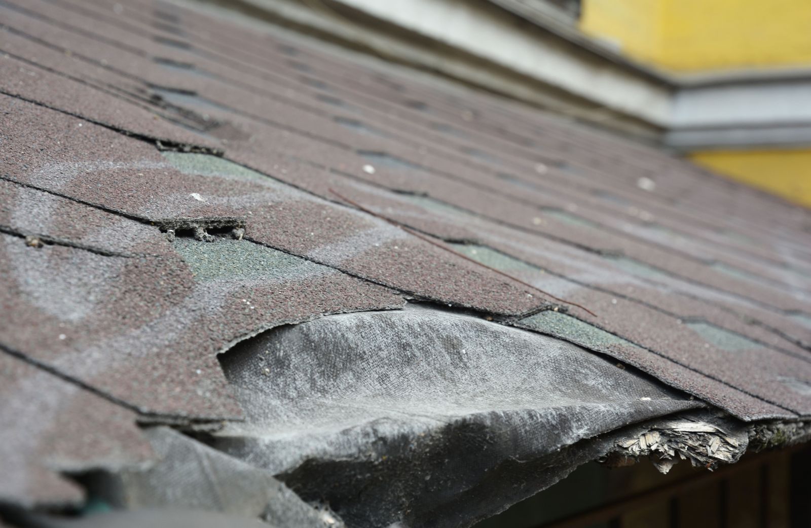 Laslo Roofing Images