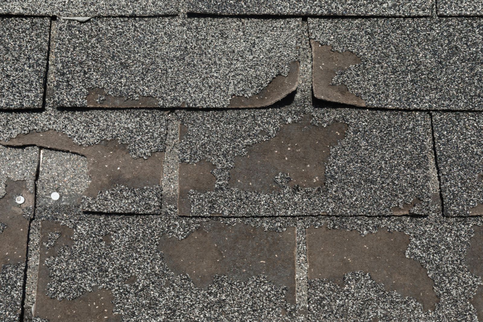 Laslo Roofing Images