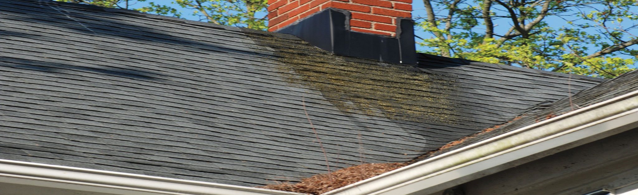 Laslo Roofing Images
